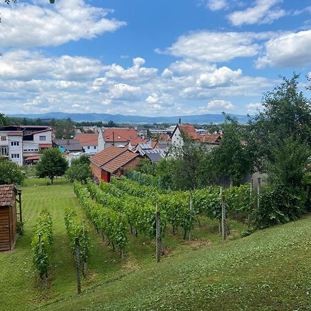 Guest House Grgin Dol Pozega Exterior foto