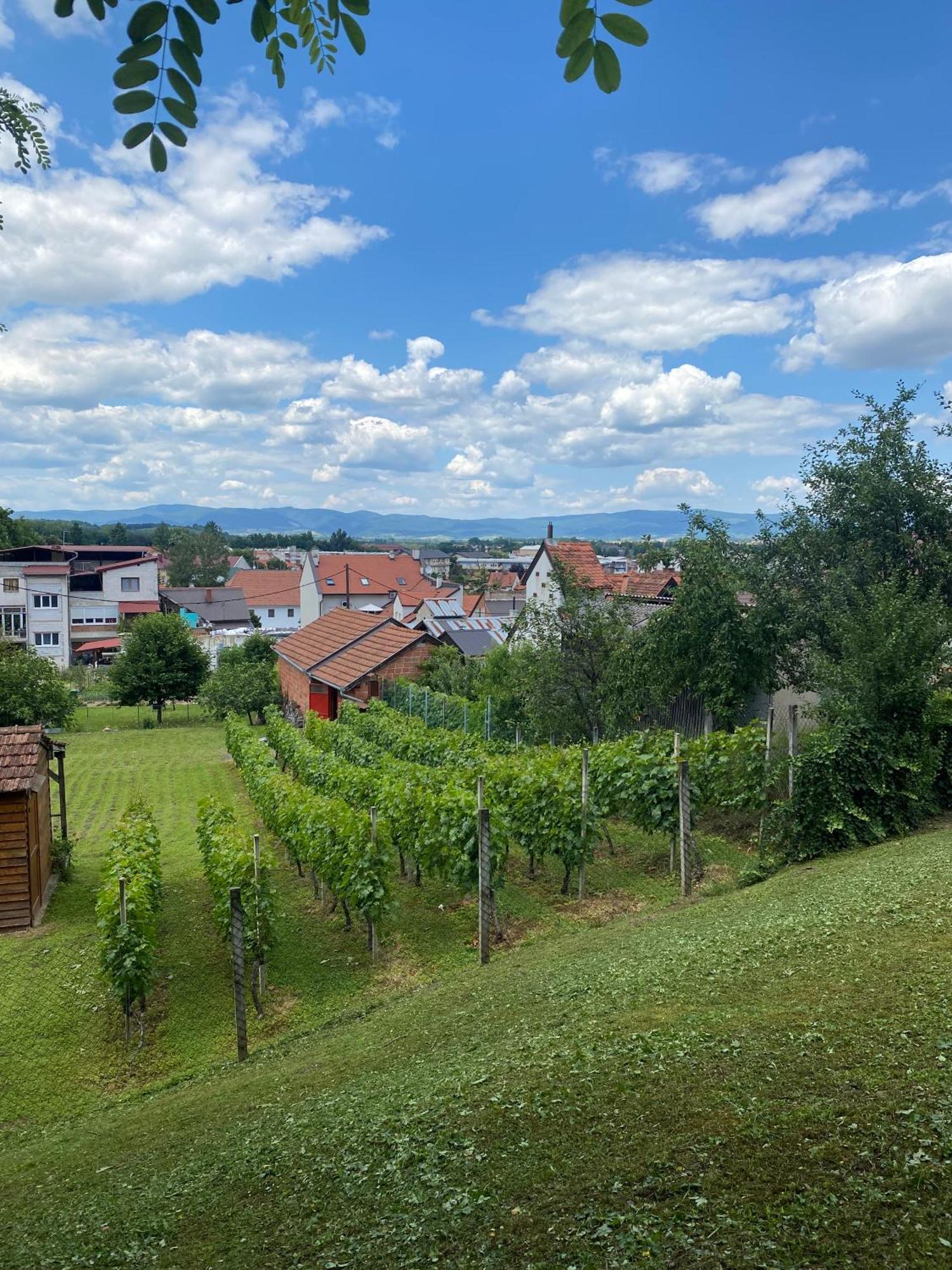Guest House Grgin Dol Pozega Exterior foto