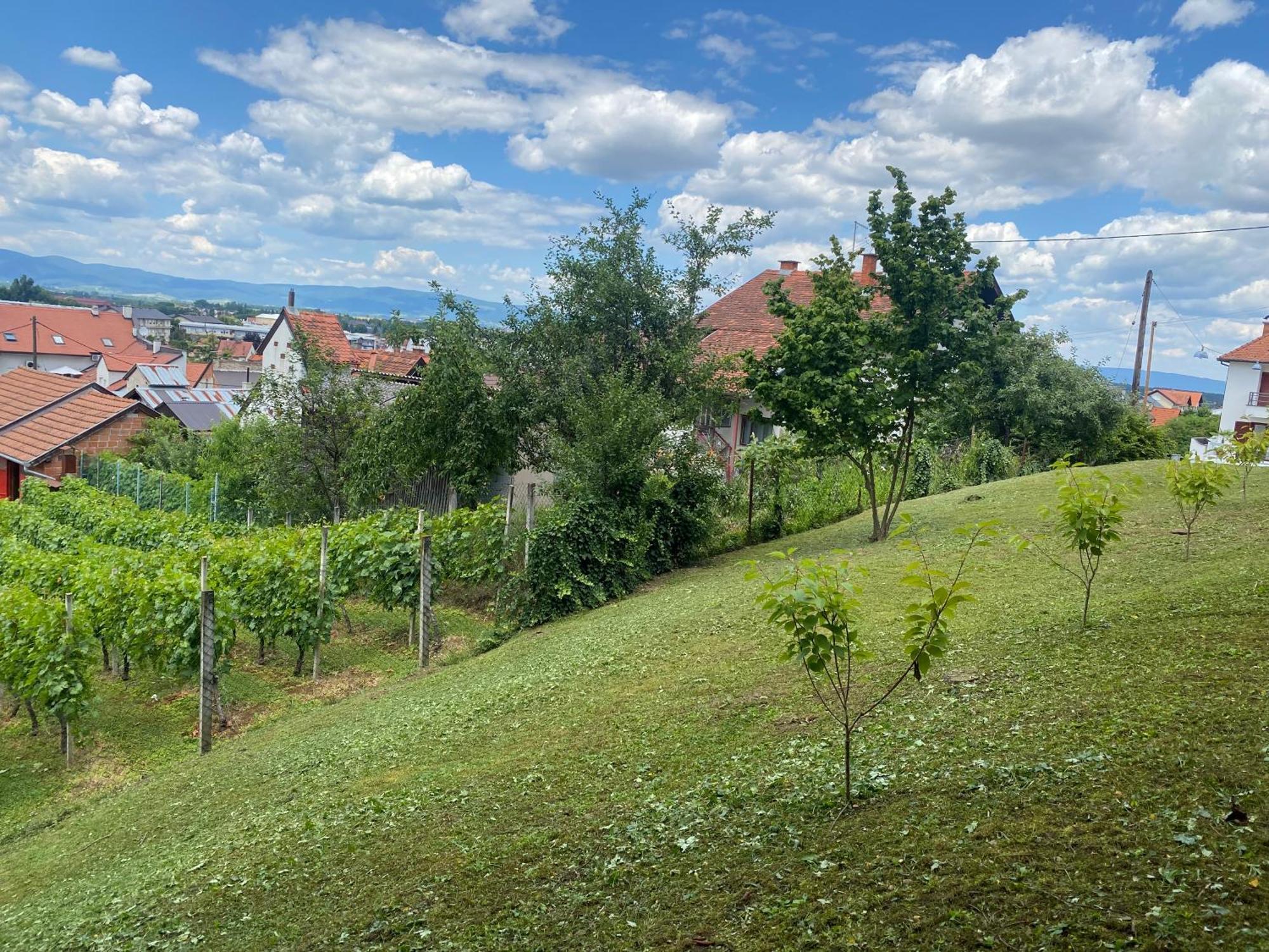 Guest House Grgin Dol Pozega Exterior foto