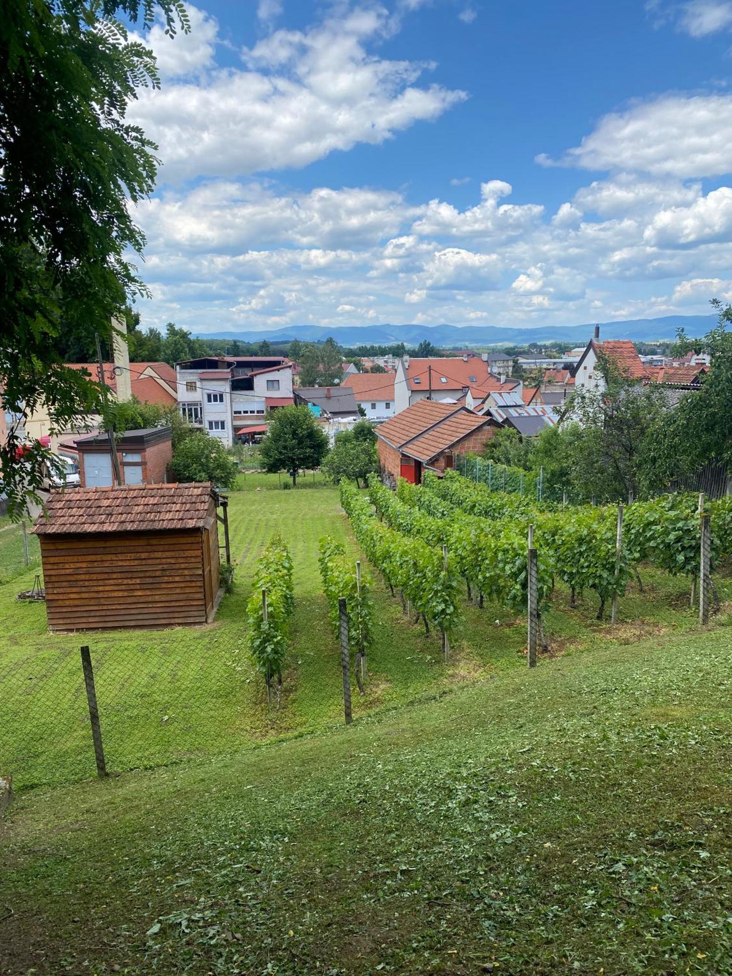Guest House Grgin Dol Pozega Exterior foto